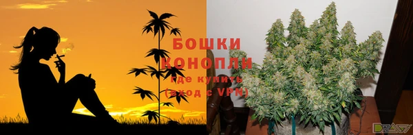 стафф Сатка