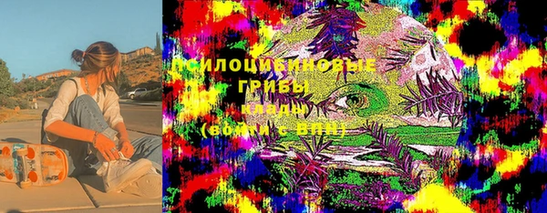 стафф Сатка
