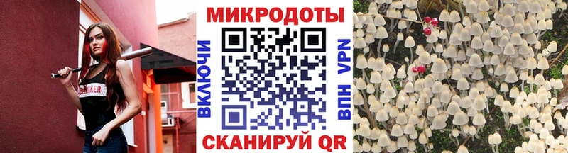 Купить где  Осташков  Псилоцибиновые грибы Magic Shrooms 